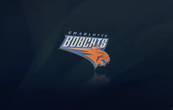 Picture Blue, Basketball, Background, Logo, NBA, Cats, The Charlotte Bobcats, Charlotte