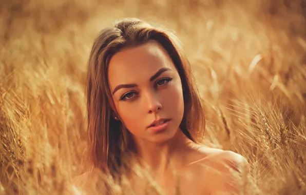 Wheat, field, look, the sun, close-up, nature, model, portrait