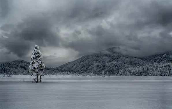 Winter, the sky, clouds, mountains, lake, tree
