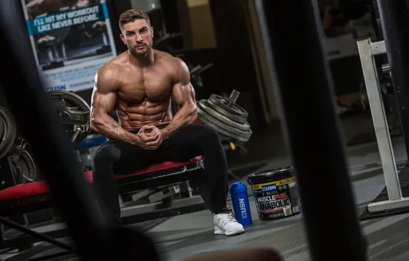 Pose, figure, muscle, muscle, muscles, press, athlete, Bodybuilding