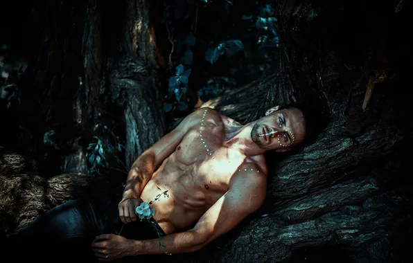 Forest, look, light, flowers, nature, pose, tree, body