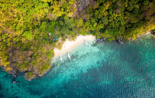 Picture beach, boats, tropical, aerial view, shoreline