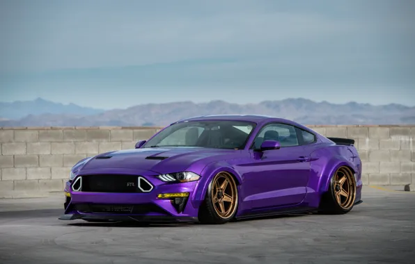 Mustang, Ford, 2018, Tjin Edition, EcoBoost, SEMA 2018