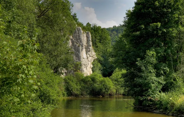 Forest, trees, mountains, Germany, Bayern, Germany, Bavaria, river.