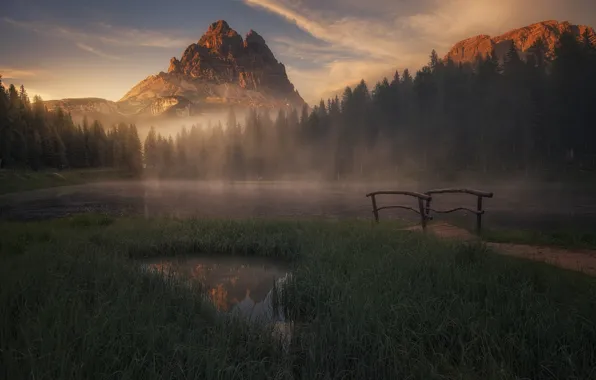 Forest, grass, mountains, fog, lake, shore, morning, the bridge