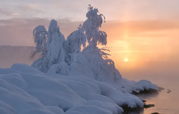 Picture winter, water, snow, landscape, sunset, nature, tree, couples