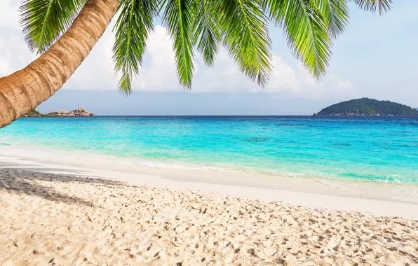 Sand, sea, wave, beach, summer, the sky, palm trees, shore