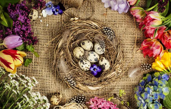 Flowers, background, eggs, spring, frame, colorful, Easter, happy