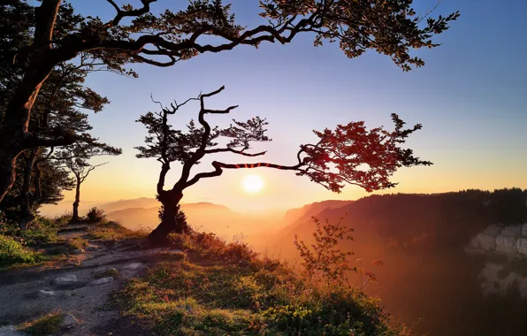 Picture light, mountains, nature, morning