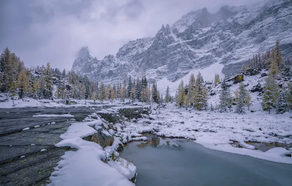 Winter, water, snow, trees, mountains, Canada, Canada, British Columbia