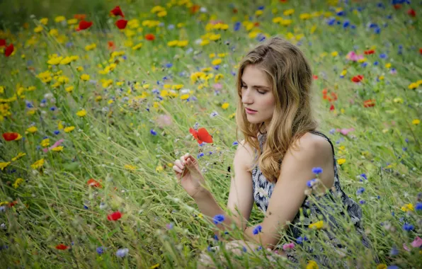 Picture girl, flowers, meadow, bokeh, Viktoria