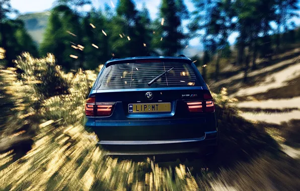 HDR, BMW, Wood, Flower, Game, SUV, X5M, Bush