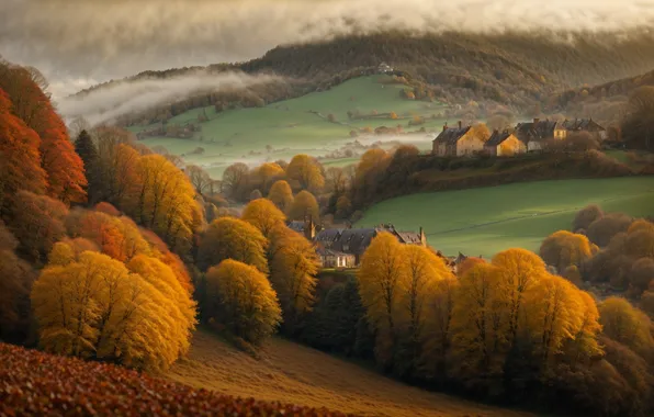 Field, autumn, forest, clouds, trees, mountains, nature, fog