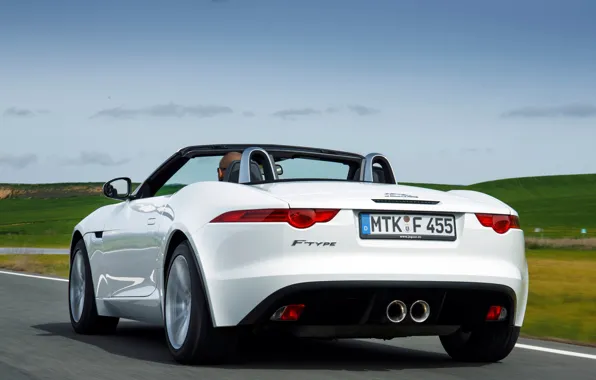 Picture car, machine, the sky, Jaguar, white, rear view, 2013, F-Type