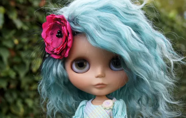 Picture flower, hair, toy, doll