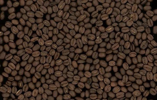 Macro, background, grain, coffee, texture, grain