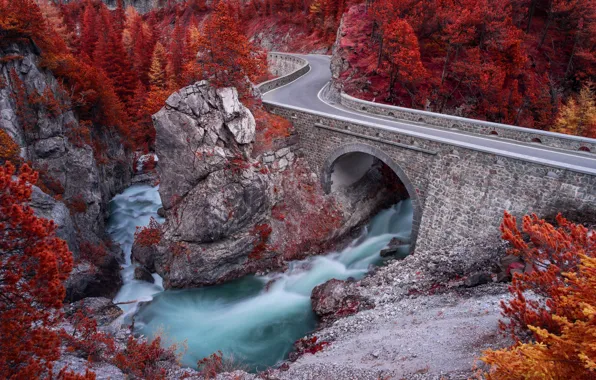 Road, autumn, forest, bridge, river, for, arch, aqueduct