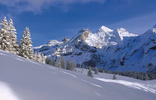Picture winter, snow, trees, mountains, Switzerland, ate, the snow, Switzerland