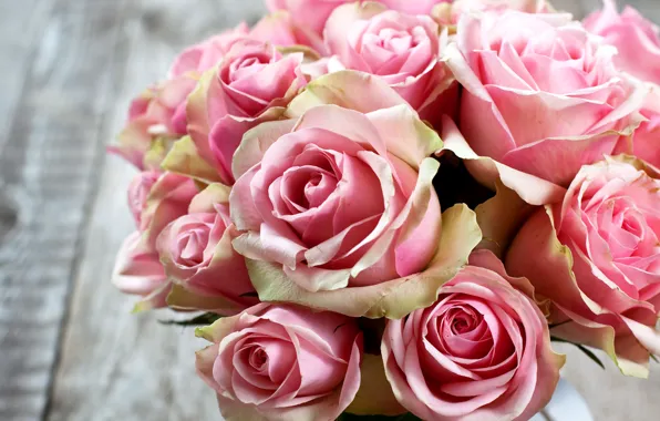 Roses, bouquet, Pink, gentle, beautiful, beautiful, Roses, lovely