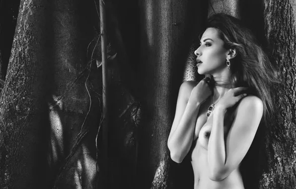 Girl, Beautiful, Sexy, Boobs, Brunette, Breasts, Model, Nipples