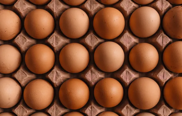 Fresh, eggs, carton, shell, quality, quantity, symmetry, uniform color