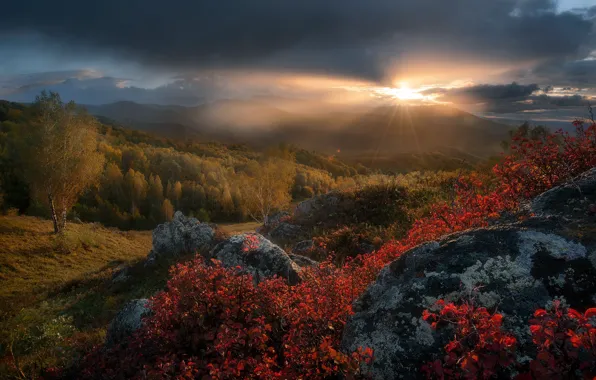 Autumn, forest, the sun, rays, trees, sunset, hills, Paul Kalinenko