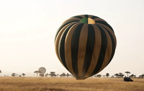 Picture field, balls, sport