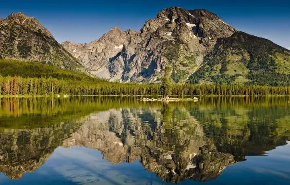 Forest, mountains, lake, reflection