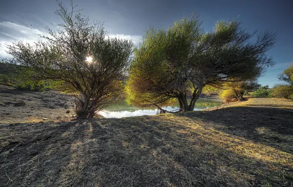 Landscape, nature, lake