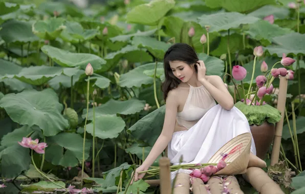 Picture summer, girl, lake, Lotus