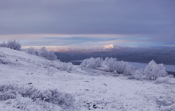 Picture winter, snow, mountains, nature, frost, Nature, landscape, winter