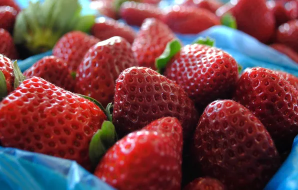 Picture berries, food, strawberry, Wallpaper from lolita777, portion