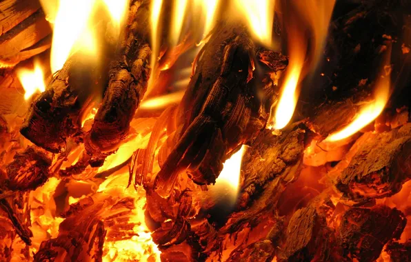 Fire, flame, the fire, heat, coal