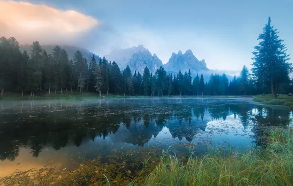 Landscape, nature, river, beauty, morning, cloud, tree