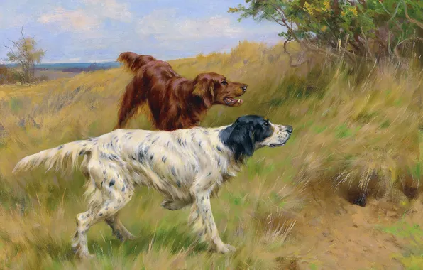 Picture Grass, Trees, Dogs, Two, Thomas Blinks, Setters, Thomas Blinks, Setters