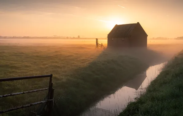 Field, the sun, light, landscape, fog, stream, dawn, shore