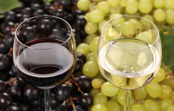 Wine, red, white, glasses, grapes