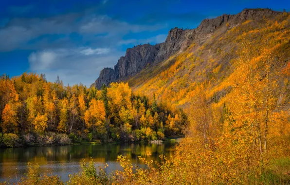 Autumn, forest, the sky, trees, mountains, river, blue, rocks