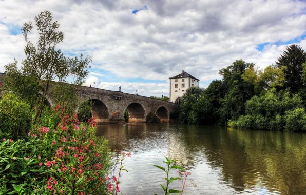 The sky, clouds, trees, flowers, bridge, river, tower, Germany