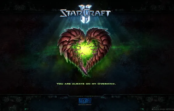 Picture Starcraft 2, Valentine, Zerg