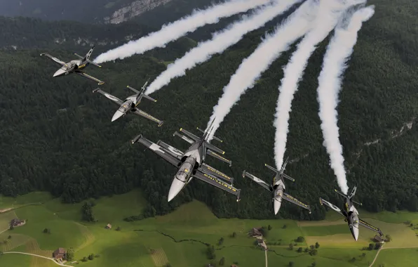 The plane, Jet, Breitling, Breitling Jet Team, L-39 Albatros