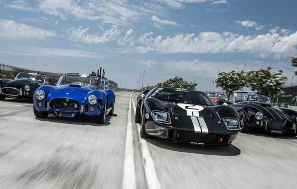Ford, Shelby, and, Cobra, 427, '1965, '2008