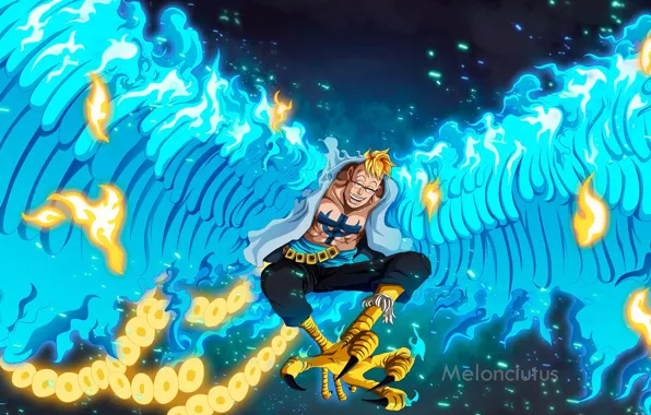 Wings, guy, One Piece, Marco
