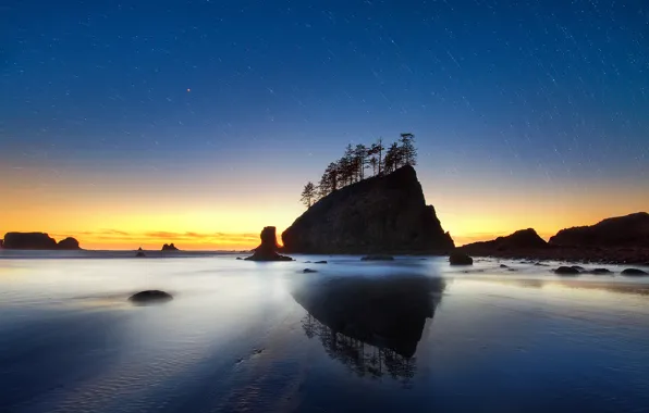 Picture sand, sea, beach, the sky, water, stars, trees, sunset