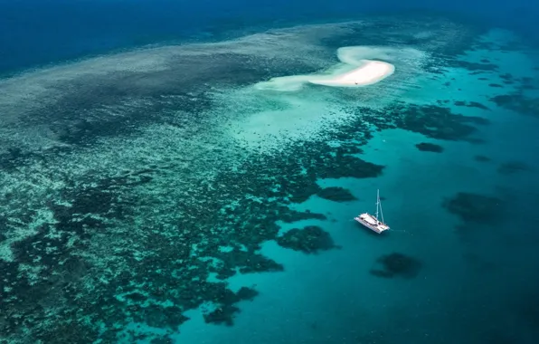 The ocean, island, yacht, top, Laguna, Sail away, Coral Cay Arial