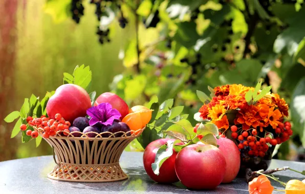 Leaves, flowers, table, basket, apples, fruit, still life, plum