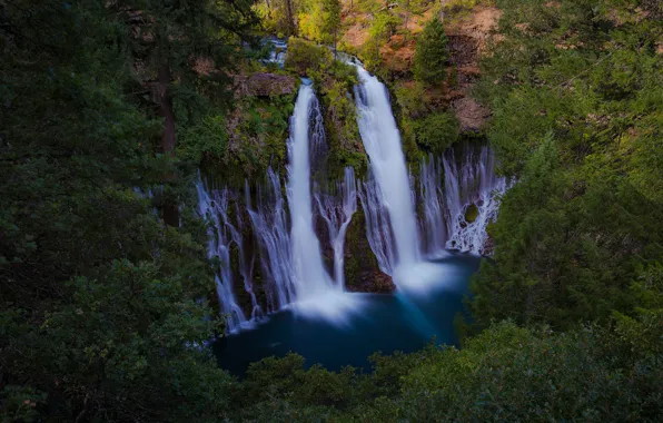 Picture forest, river, waterfall, CA, cascade, California, Burney Falls, Burney Creek