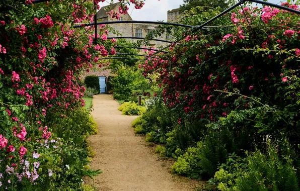 Greens, flowers, castle, England, garden, track, alley, the bushes