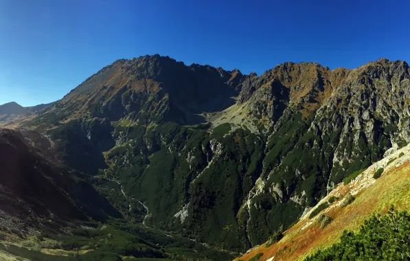 Mountains, rocks, valley, Poland, gorge, Zakopane, Tatry