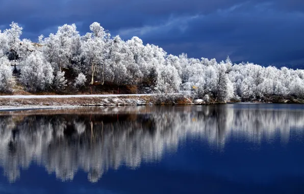 Winter, the sky, trees, reflection, river, blue